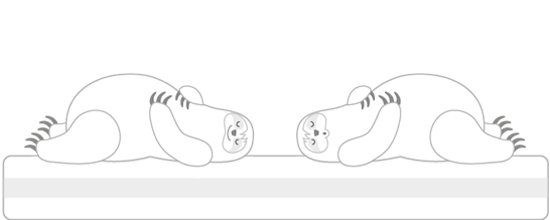 Zwei Faultiere liegen auf einer Matratze in Rückenlage